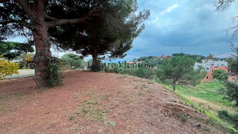 Foto 097c0fa3-f63c-45f3-9346-214a8312cc23. Terrain résidentiel dans Rocaferrera Sant Andreu de Llavaneres