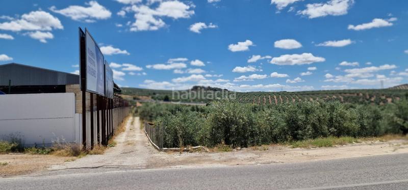 Foto 0b94a608-e7fa-4590-9922-7c4d3ffe6ea9. Landgut in Torredonjimeno