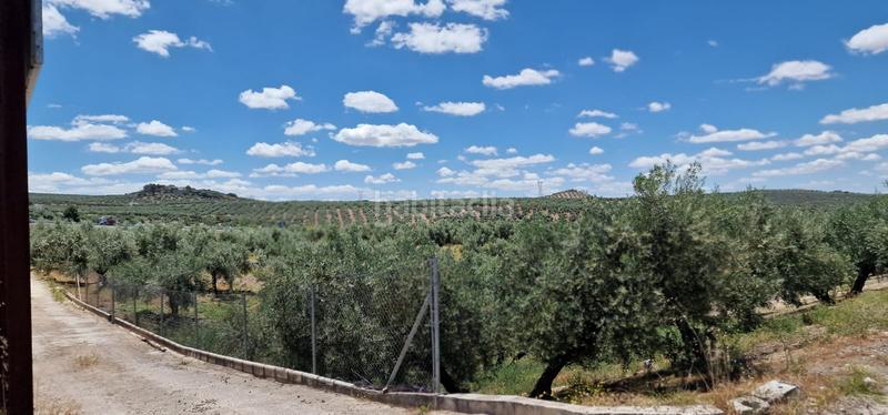 Foto 27b75a43-040d-4c1e-a0b9-3bfdf3957f6e. Landgut in Torredonjimeno