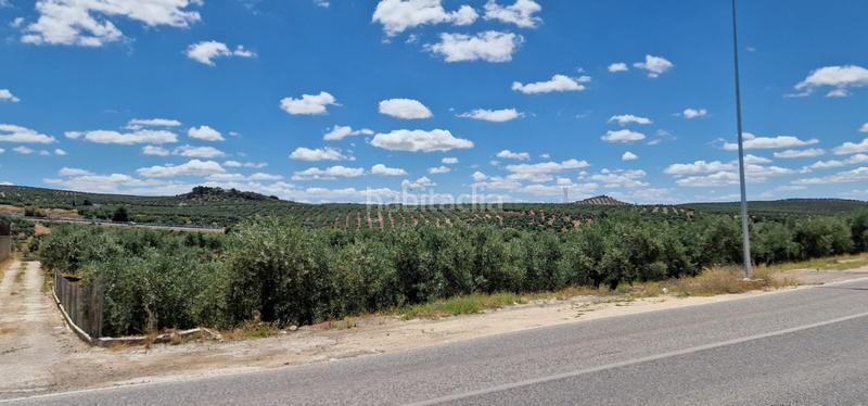 Foto 377c49c1-5b83-44ea-b2a1-4dea7c0d6978. Landgut in Torredonjimeno