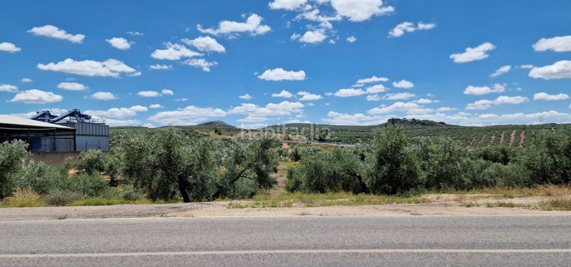 Foto 554ebf95-2889-4d43-a185-7062902817b6. Landgut in Torredonjimeno