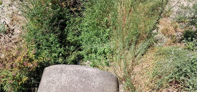 Foto 5aadfc4b-6def-456e-a633-8c53fbb1f486. Landgut in Torredonjimeno