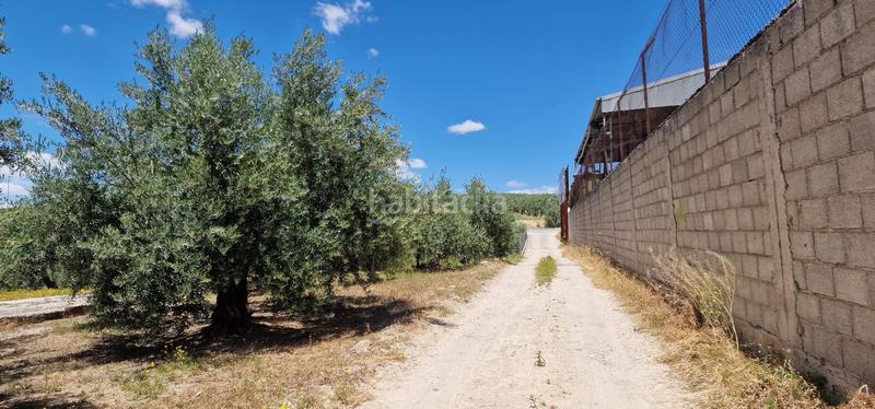 Foto 746e9fa3-3c2e-45f6-9423-02c45ab17a8f. Landgut in Torredonjimeno