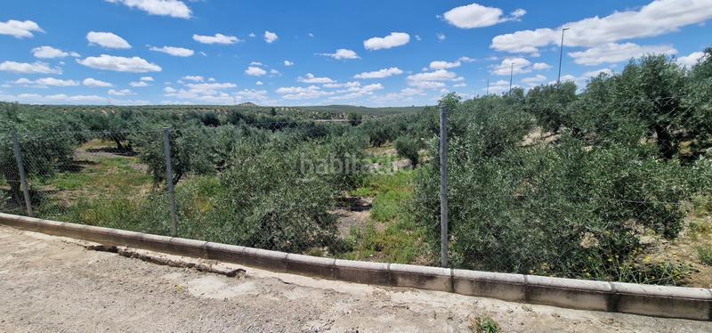 Foto 7dc13485-f355-42b9-a925-61d9cbcffca4. Landgut in Torredonjimeno