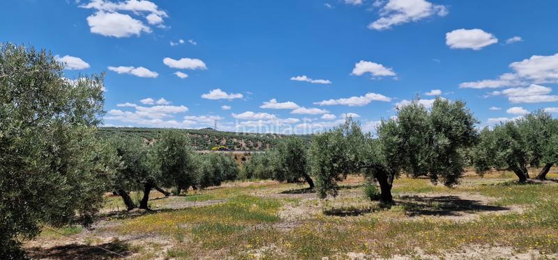 Foto 90bc08a3-3358-40e5-b357-c5195e04cf2a. Landgut in Torredonjimeno