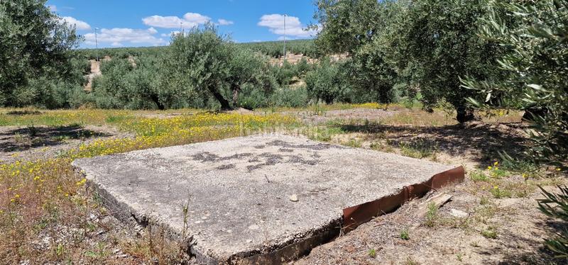 Foto eb82a0c0-bf5d-4b3a-9548-4bf386a1de6f. Landgut in Torredonjimeno