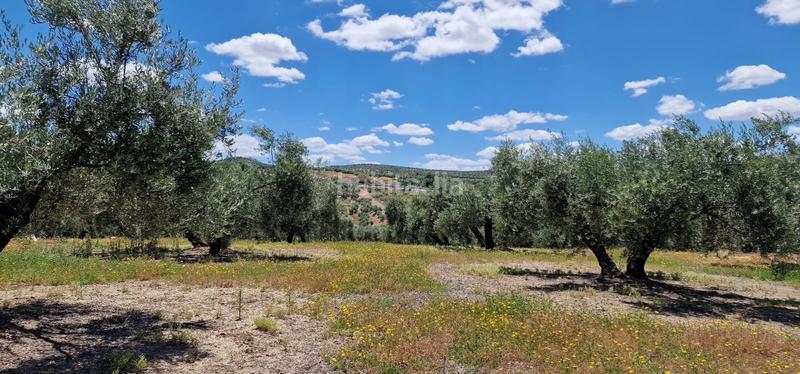 Foto f2acdb5b-9b12-4d6a-888c-88b707b7d16c. Landgut in Torredonjimeno