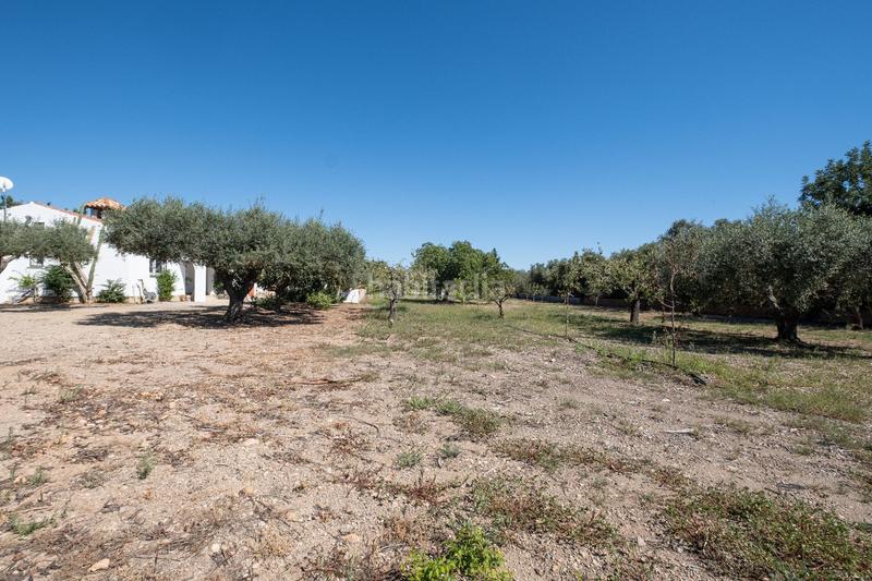 Foto 3071f57c-e782-478b-9ca8-14c0a1d012a8. Landgut in aixarmadas in Platja de Mont-roig Mont-roig del Camp