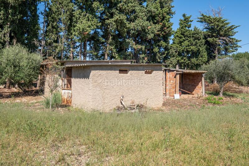 Foto 504af020-79e5-40d6-adc8-639fa5afd9f0. Landgut in aixarmadas in Platja de Mont-roig Mont-roig del Camp