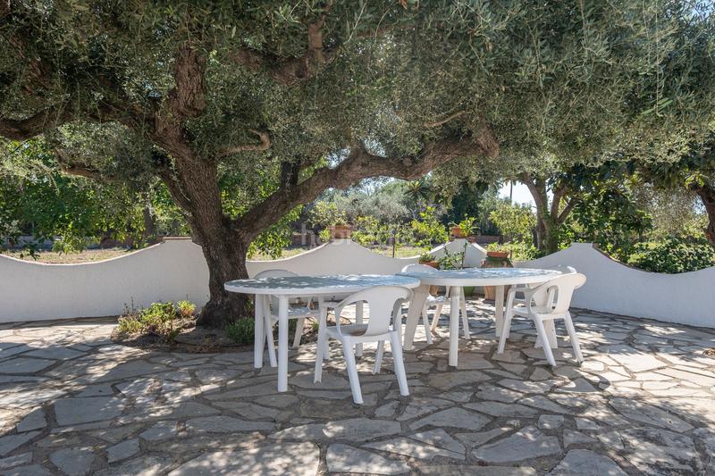 Foto 5511267b-dd63-4d26-b9f0-5d6e6438faf2. Landgut in aixarmadas in Platja de Mont-roig Mont-roig del Camp