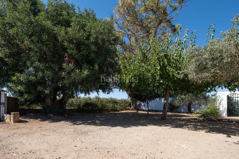 Foto 60069fdf-5d4a-4805-a121-01f70929eea9. Landgut in aixarmadas in Platja de Mont-roig Mont-roig del Camp