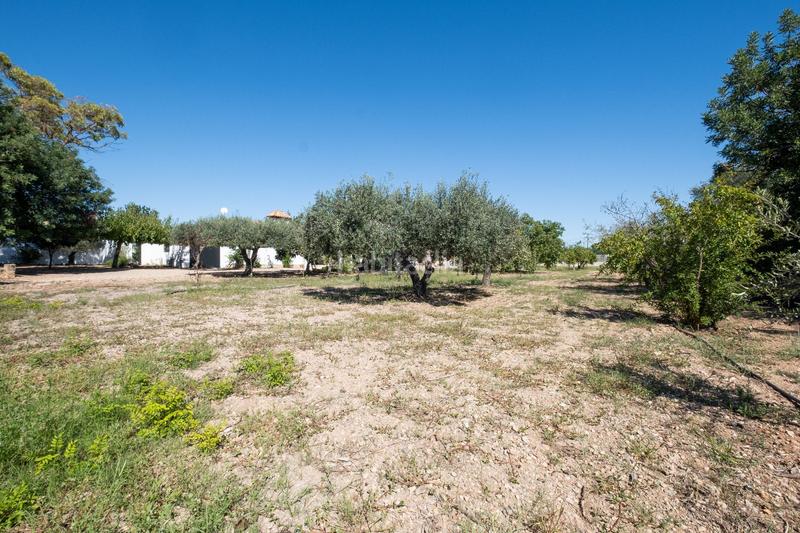 Foto fcaa2692-1115-4e12-a09c-69de37d1aa08. Landgut in aixarmadas in Platja de Mont-roig Mont-roig del Camp