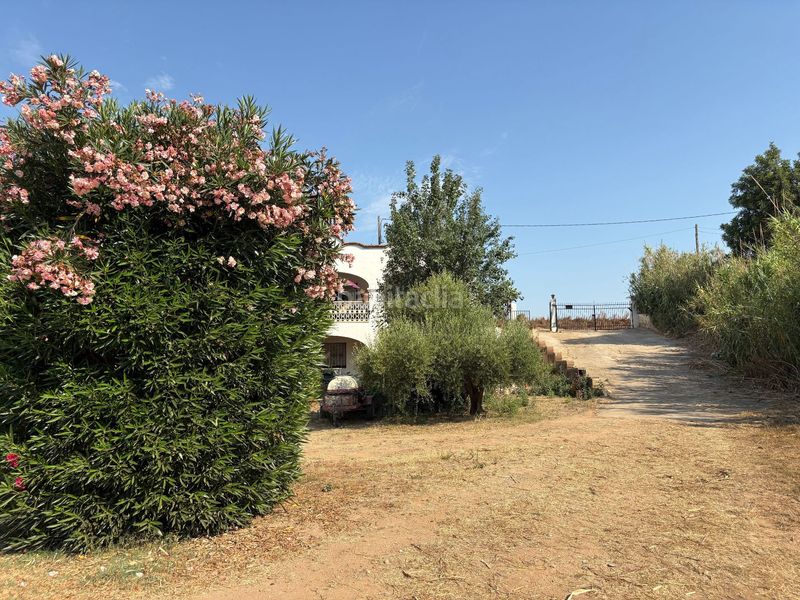 Foto 05dce4e4-7389-4704-b741-0170891aa037. Fondo rustico in poblas 39 in Platja de Mont-roig Mont-roig del Camp