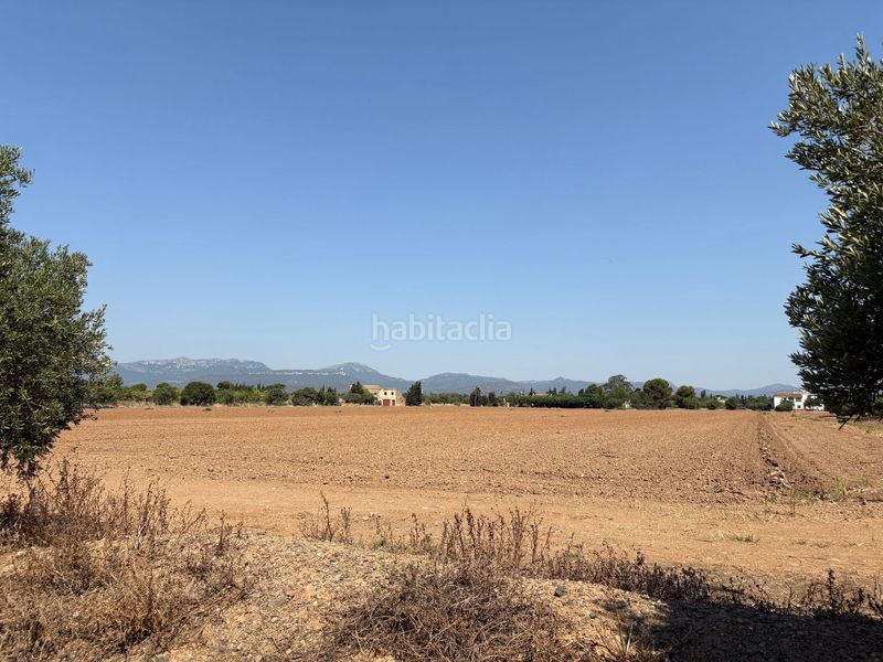Foto 0f8a7491-d953-4300-92b7-3d513f280286. Fondo rustico in poblas 39 in Platja de Mont-roig Mont-roig del Camp