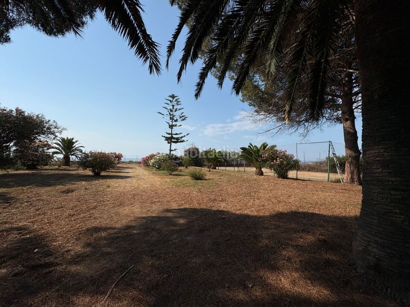 Foto 57515e91-616f-4b06-9a80-084a7965c1ad. Fondo rustico in poblas 39 in Platja de Mont-roig Mont-roig del Camp