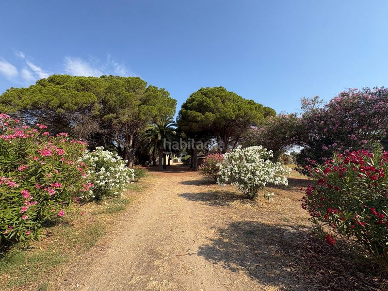 Foto 67416e3d-3dba-4006-9038-521c5f652d98. Fondo rustico in poblas 39 in Platja de Mont-roig Mont-roig del Camp
