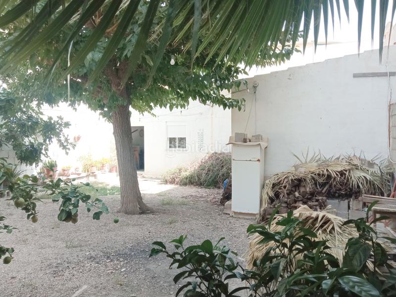 Foto 0bedad52-1b08-493d-bd22-66f8c7f73dee. Edificio in calle luis vives m 6 in Catral