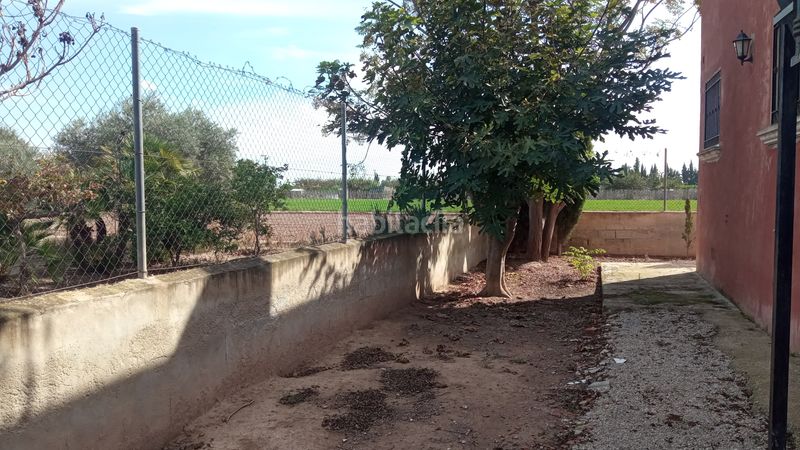 Foto 139ce38b-5b8a-4d34-933e-8daa1a7e1fa0. Xalet amb xemeneia calefacció aparcament a Catral