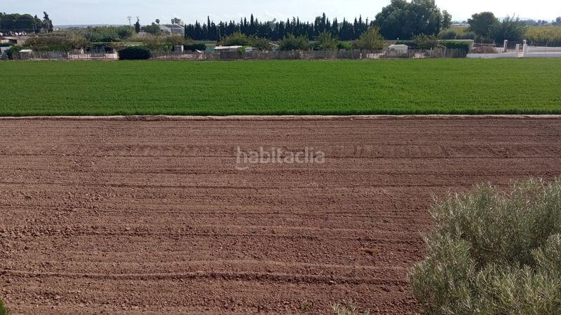 Foto 6c4a0ddb-955b-49ec-a6db-7bd5c217d788. Xalet amb xemeneia calefacció aparcament a Catral