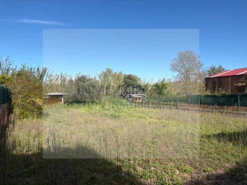 Foto a45fd99e-b793-4e6e-94ce-aee6ed137d2d. Local comercial en calle paral.lel 88 local edificable con gran potencial urbanístico en Bisbal d´Empordà (La)