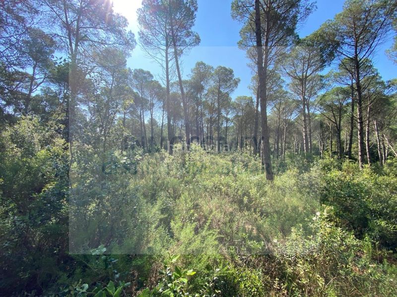 Foto a3aef522-9d9c-41ff-9023-ecbcce50b879. Finca rústica a Pals