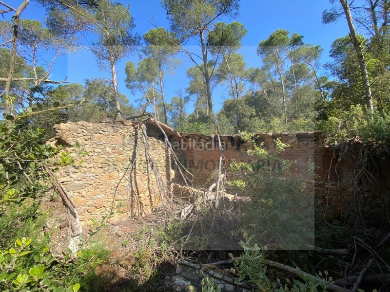 Foto e4e49b3e-2b95-4ea3-95f3-b5ea1a902c72. Finca rústica a Pals
