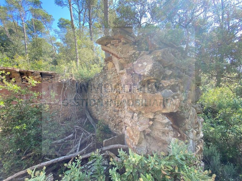 Foto eaf7a405-c8c8-4166-9cbc-9c81f18e90f6. Finca rústica a Pals
