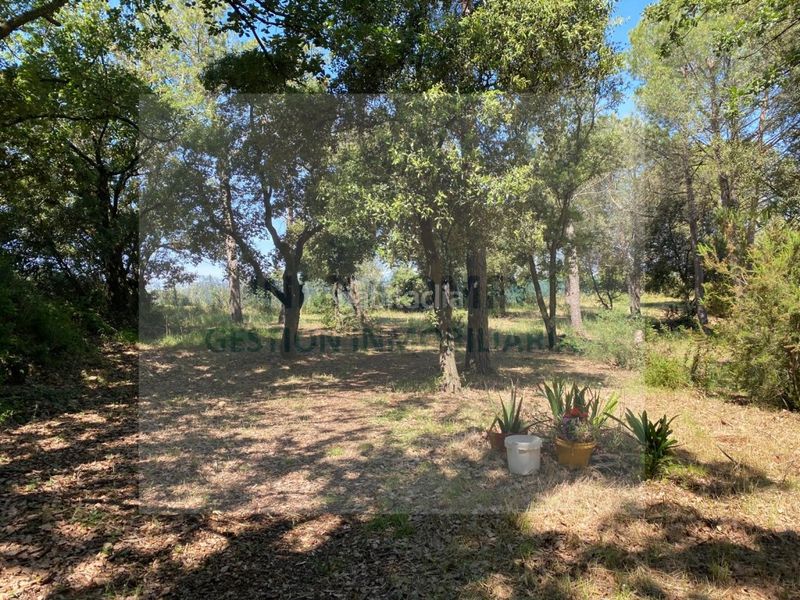Foto 38efc04f-73ff-4535-9fa4-be8c1f7663ab. Finca rústica a Bisbal d´Empordà (La)