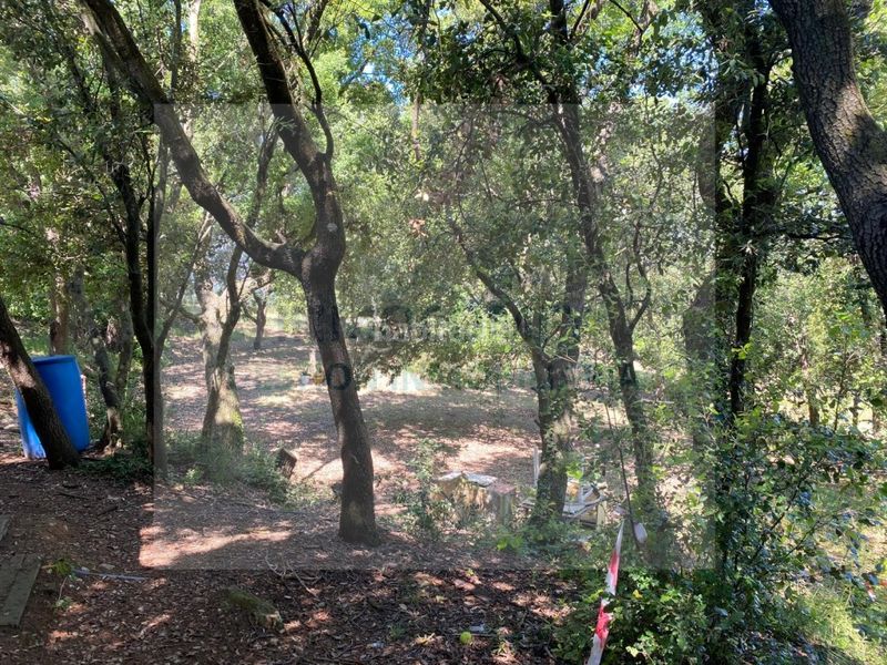Foto 4a8c383f-88ae-4090-955f-88d748780dcf. Finca rústica a Bisbal d´Empordà (La)