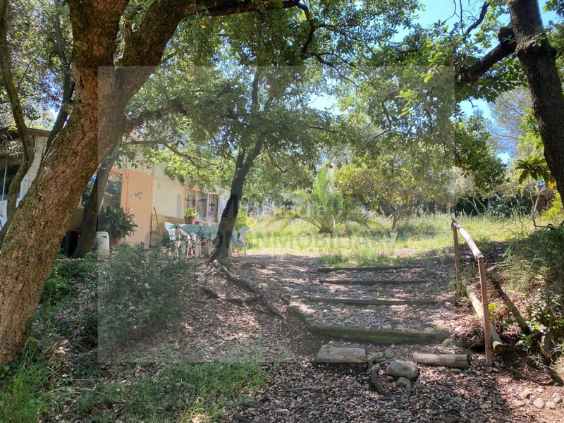 Foto 4fd001c3-835a-471f-8e26-ad9058ba720b. Finca rústica a Bisbal d´Empordà (La)