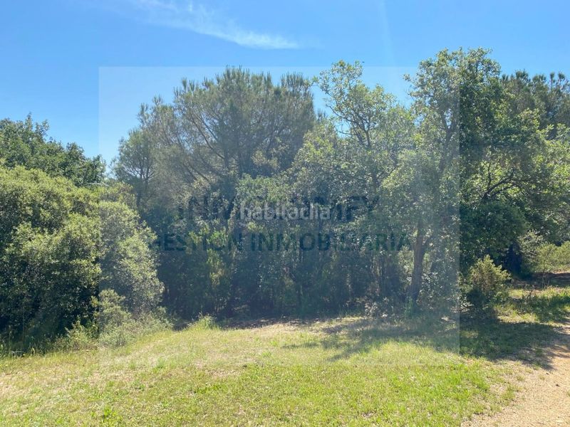 Foto a03664de-7978-476a-9d35-4854b3705724. Finca rústica a Bisbal d´Empordà (La)