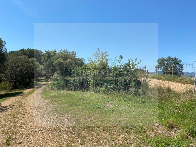 Foto c1d0c644-80e5-4e6b-b717-54f3427298b0. Finca rústica a Bisbal d´Empordà (La)