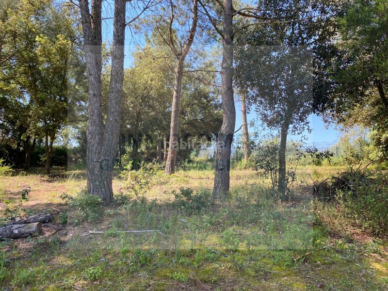 Foto ee64d710-2d9a-4b11-8da4-53ee09731fb8. Finca rústica a Bisbal d´Empordà (La)