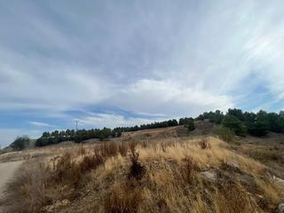 Proprit en Diseminado villanera 2. Parcela rustica loeches