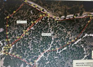 Terreny residencial a Andújar. Buscas un terreno para construir tu propia casa