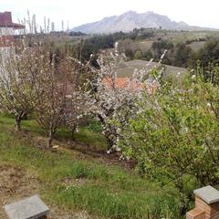 Terreny residencial a Abrera