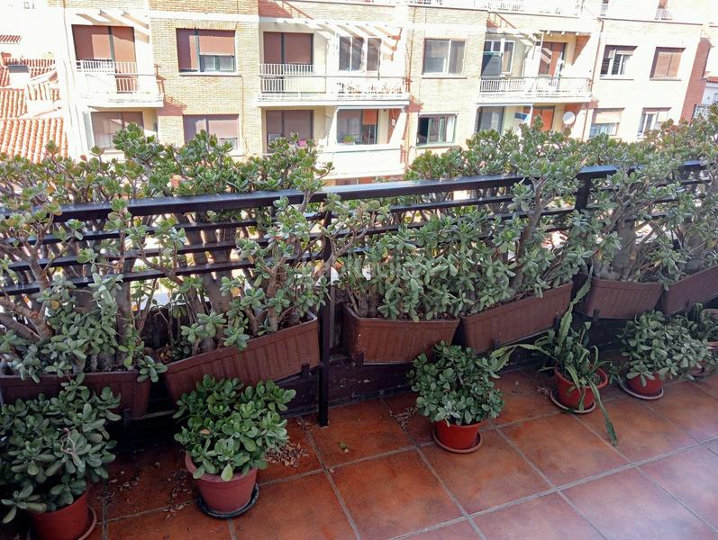 Foto 1aa2ded3-eb65-45ef-8b07-a9505ef81ce6. Etagenwohnung mit heizung in Jesuitas Logroño