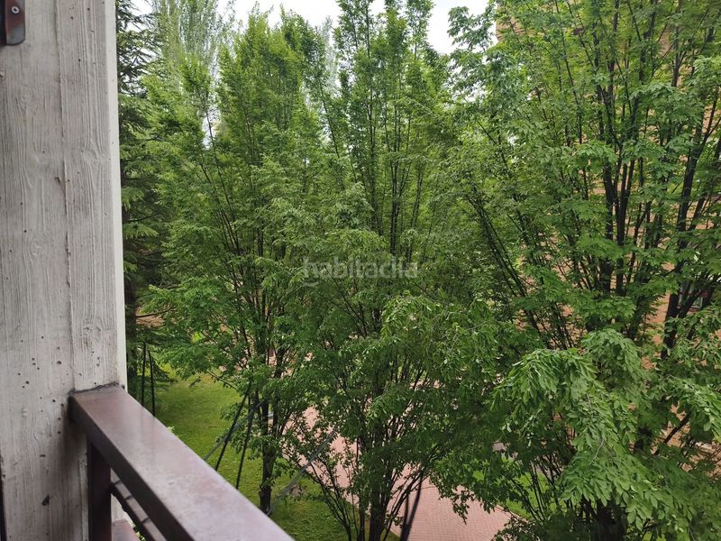 Foto ff0e01d5-e9cd-42a5-a00f-aa8ec3c814f1. Pis amb calefacció a Residencia Logroño