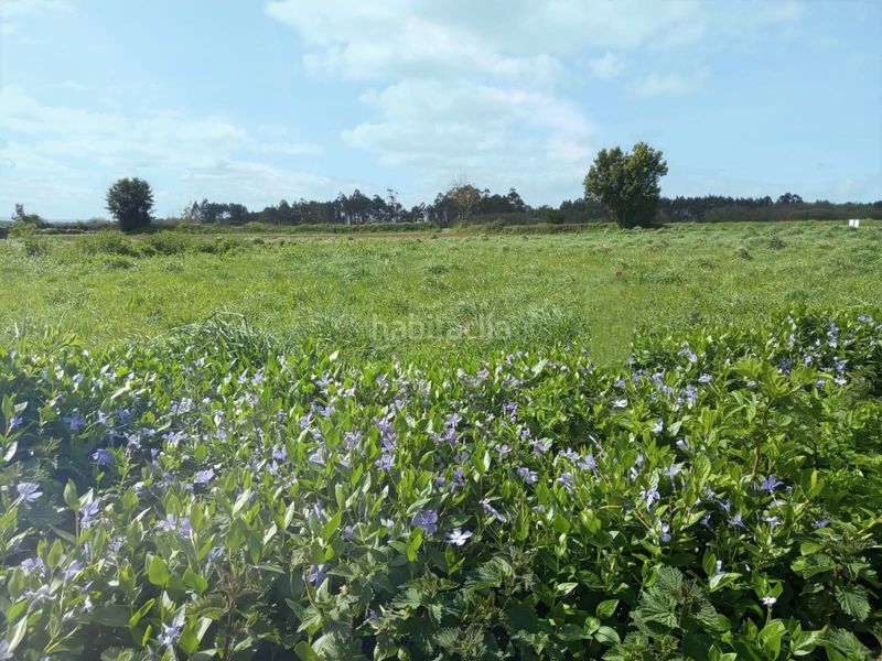 Foto be19e75d-fa87-4283-95ff-df79b57690aa. Terreny residencial a Carballo