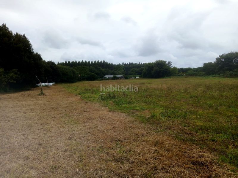 Foto f9db4d96-653c-4ee5-b830-92392642db72. Terreny residencial a Laracha