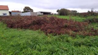 Terreny residencial a Ponteceso. Se vende finca urbanizable en a campara, puenteceso.
