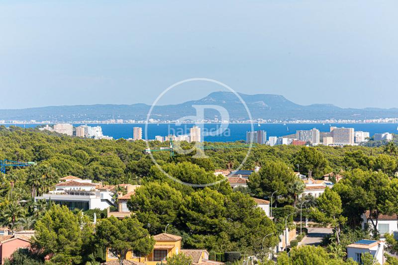 Foto 6029a2ac-0d77-4e6a-8432-8da366510142. Affitto appartamento con riscaldamento parcheggio piscina in Calvià