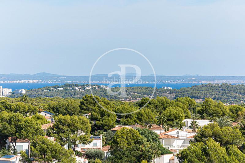 Foto a428fbcc-ec08-4a3b-99d4-2534ae50c105. Affitto appartamento con riscaldamento parcheggio piscina in Calvià