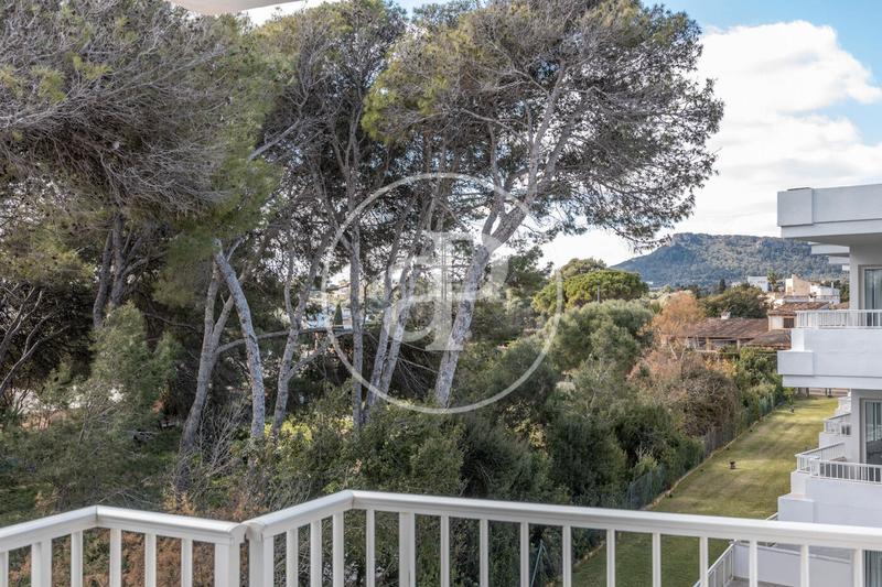 Foto 6854b089-943b-4da9-8919-c37c531b0e4a. Miete etagenwohnung mit heizung in Cala Bona Son Servera