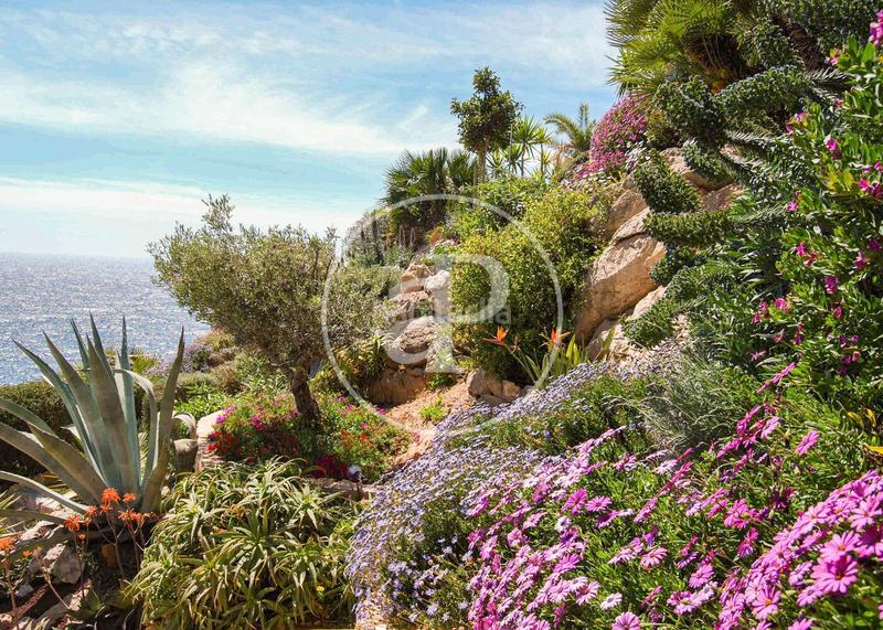 Foto 94470dfd-bb7f-4d01-9bab-5a265cf0309b. Miete etagenwohnung mit heizung pool in port d´Andratx Andratx