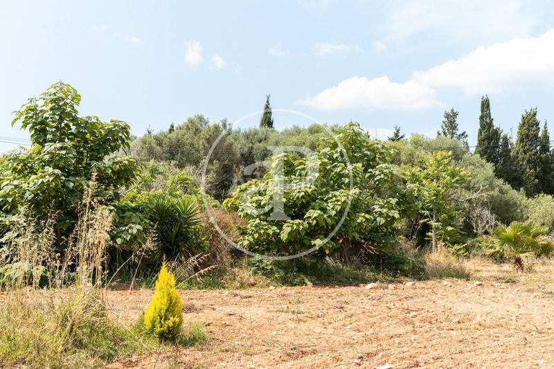 Foto e3cd6f85-4eb3-434d-91bb-cc3badd33596. Alquiler casa  en alquiler en santanyí en S´Horta - Cas Concos des Cavaller - Es Carritxó Felanitx