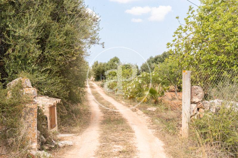 Foto 0ee7c12b-46c0-4363-8e8e-35d4f2759ff2. Location maison avec parking piscine dans S´Horta - Cas Concos des Cavaller - Es Carritxó Felanitx