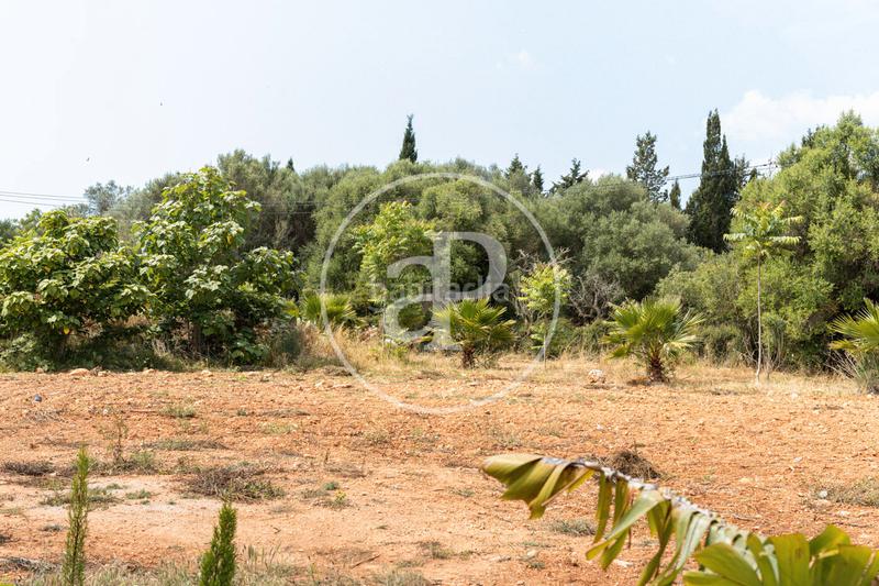 Foto 3f800ff5-f975-46dd-a912-7fe3618b98cb. Location maison avec parking piscine dans S´Horta - Cas Concos des Cavaller - Es Carritxó Felanitx