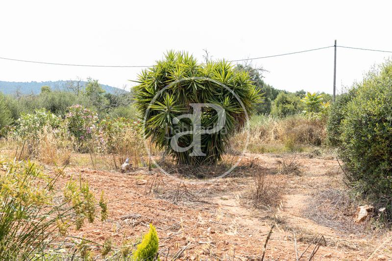 Foto 4574a95c-8689-41f6-bf3b-8c8c85004161. Location maison avec parking piscine dans S´Horta - Cas Concos des Cavaller - Es Carritxó Felanitx