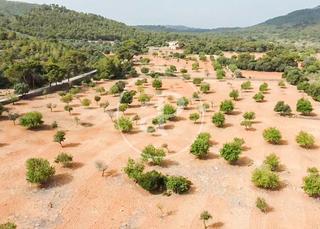 Residential Plot  Cami de.'s presos